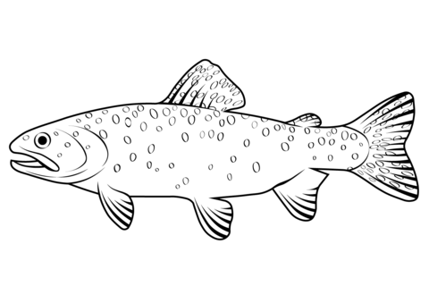 Bonneville Cutthroat Trout (Oncorhynchus Clarkii Utah) Coloring Page